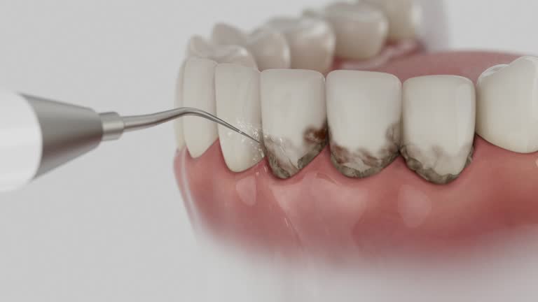 Reliable Dental contractor in Broadview, IL by Dentist Open Now